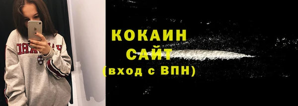 шишки Аркадак